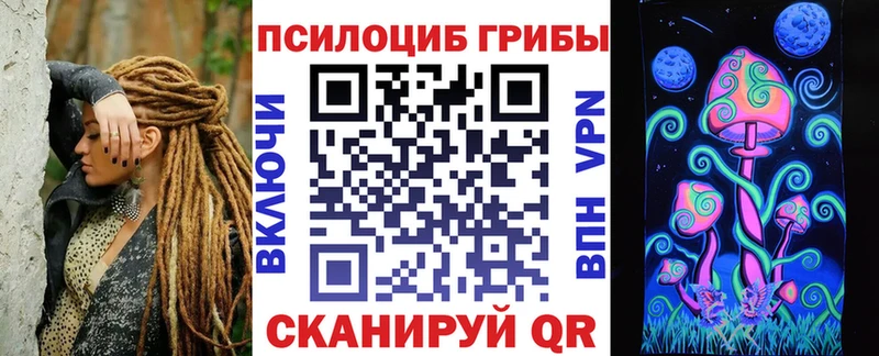 Псилоцибиновые грибы Psilocybe  где можно купить наркотик  Курлово 
