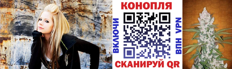OMG ТОР  Курлово  Каннабис планчик 